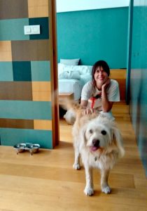 Baños de Panticosa con mascota TREKKING en la habitación del hotel Continental 2 pet friendly