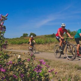 Gravel Penedès ENOCICLOTURISMO