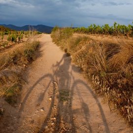 Gravel Penedes Bikepacking 2023 300 km entre viñas