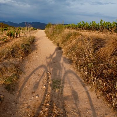 Gravel Penedes Bikepacking 2023 300 km entre viñas