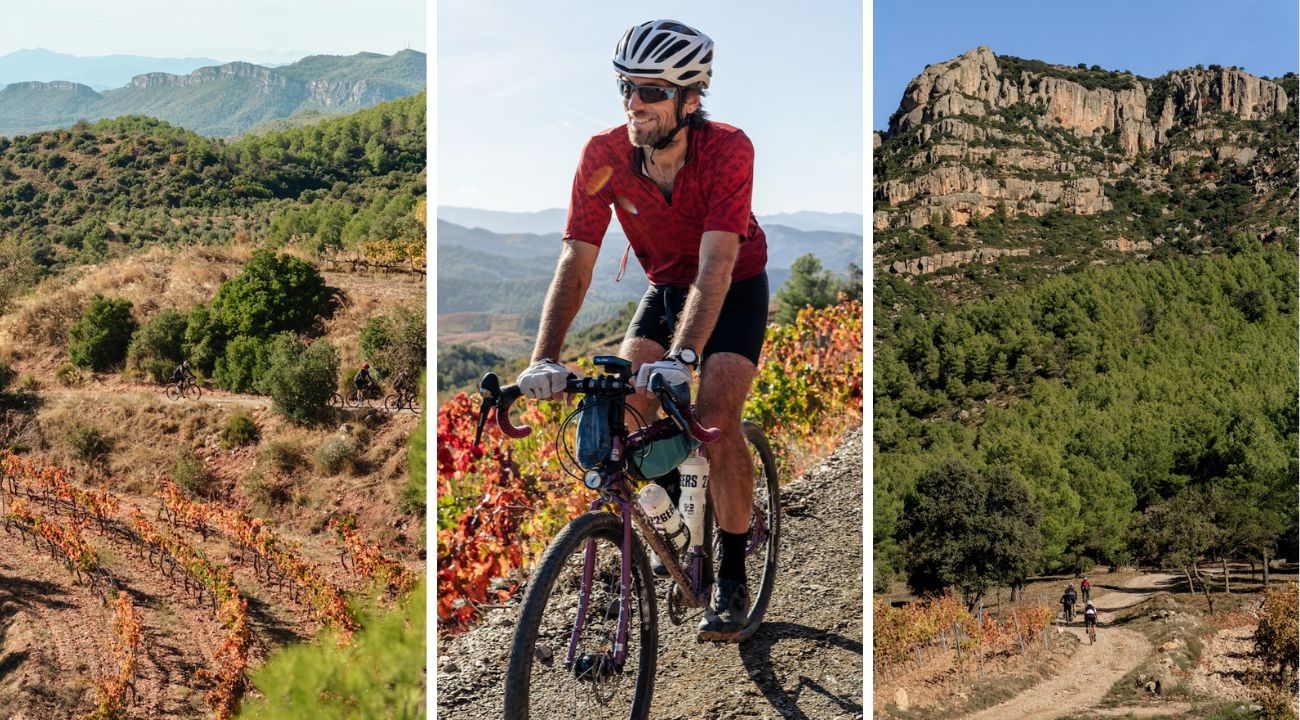 RUTA TERRER PRIORAT gravel entre viñas